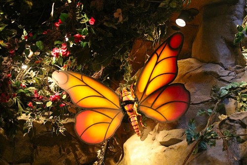 Rainforest Cafe Butterfly