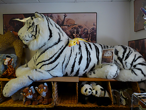 Gift Shop Tiger