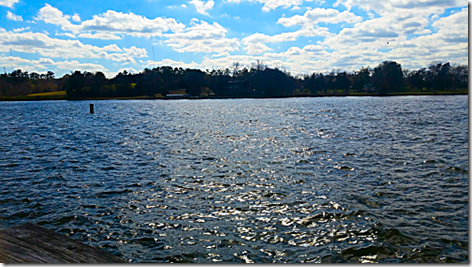 Lake Conroe Marina 3_thumb[1]