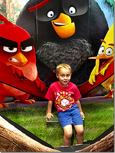 Angry Birds Landon 1_thumb