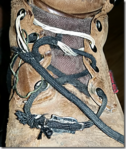 Chewed Shoelaces_thumb[1]