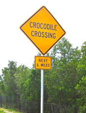 Croc Crossing 4
