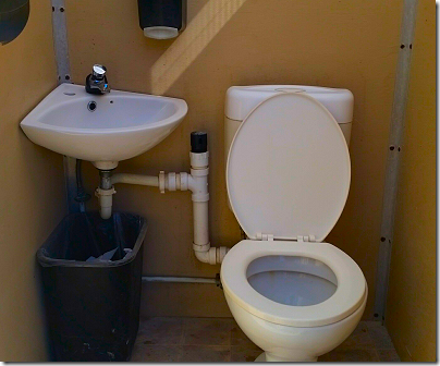 SiteWatch Flush Toilet Potty 2