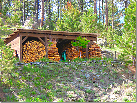 1880 Train Woodpile