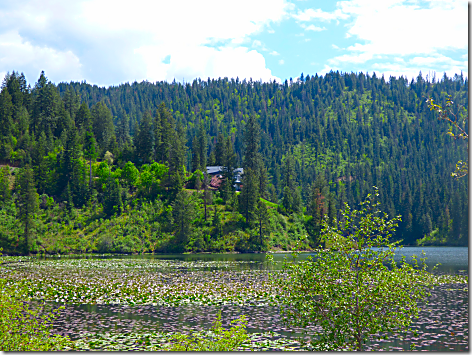 Coeur d'Alene Lake Drive 4