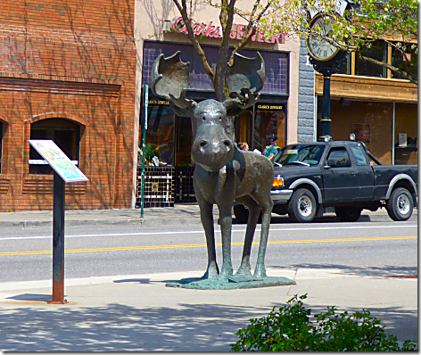 Coeur d'Alene Moose