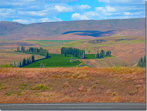 Columbia River Gorge 1