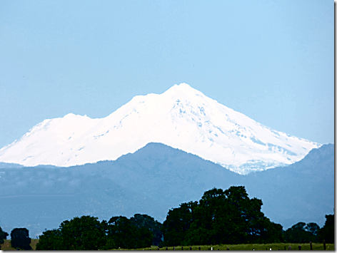 Mt Shasta 100miles 2