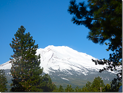 Mt Shasta RV Park