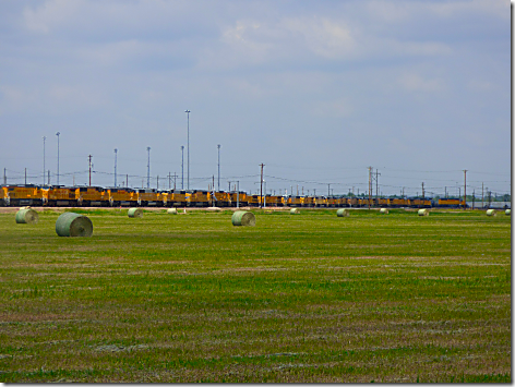 Bailey Yard Engine Lineup