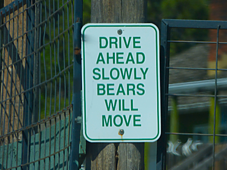 Bear Country Bear Sign
