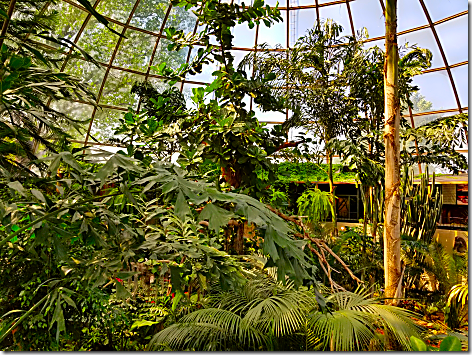 Reptile Gardens Dome 1