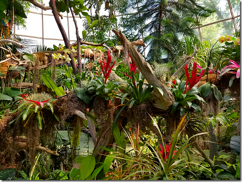 Reptile Gardens Dome 3