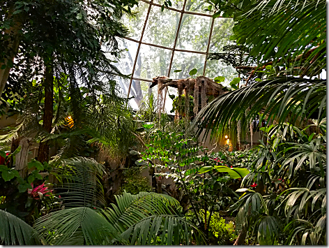 Reptile Gardens Dome 4