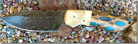 Knife with Cholla Bolster-468