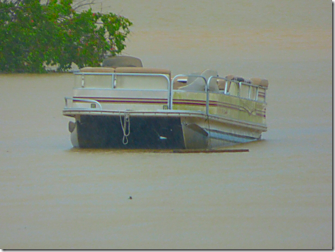 Harvey Lake Conroe Lake Pontoon Boat