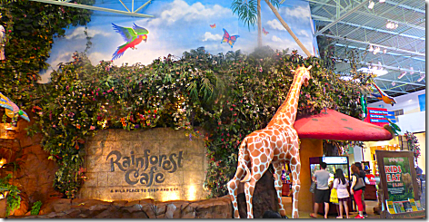 Rainforest Cafe 1
