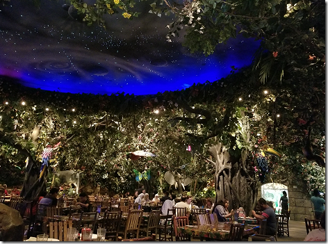 Rainforest Cafe Sky