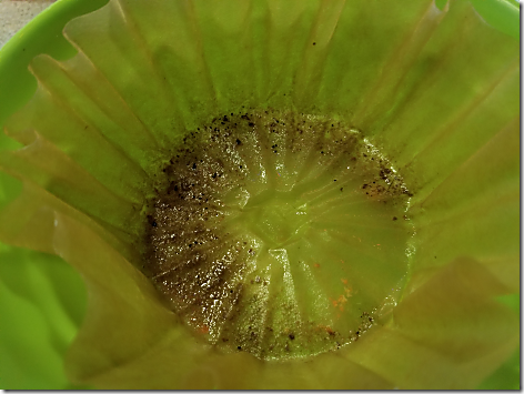 Coffee Filter Debris