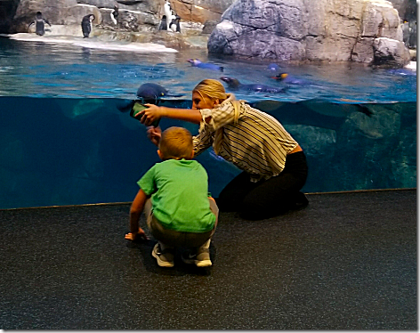 Moody Gardens - Landon Piper and Penguin