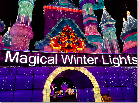 Houston Magical Winter Lights 1