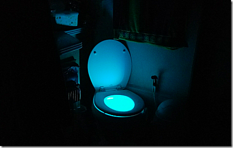 Toilet Glow Light