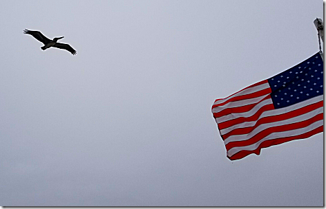 Bolivar Ferry 2 Pelican