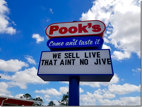 Pook's Sign