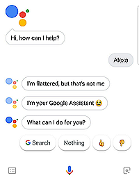 OK Google Alexa