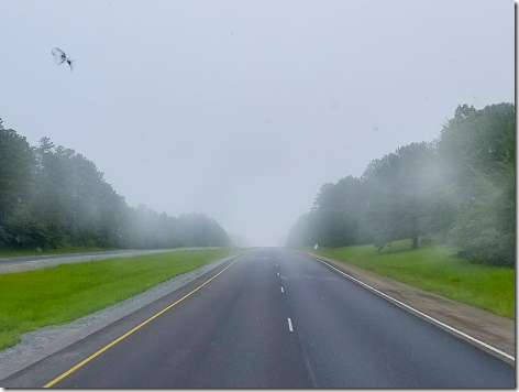 Foggy and Rock Chip