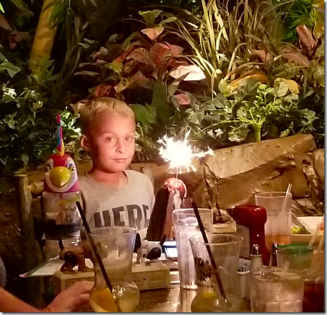 Rainforest Cafe 8-19-18 2