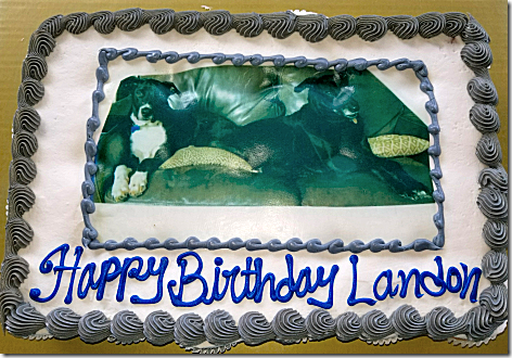 Landon Smith's Birthday Cake 1