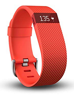 Jan's Christmas Fitbit