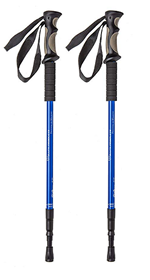 Cruise Walking Sticks