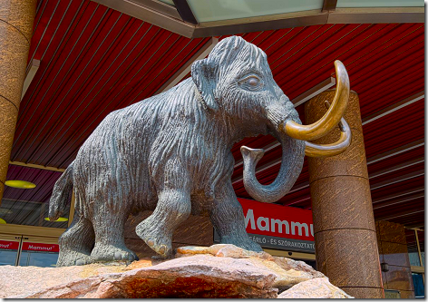 Mammut Mall Mammoth
