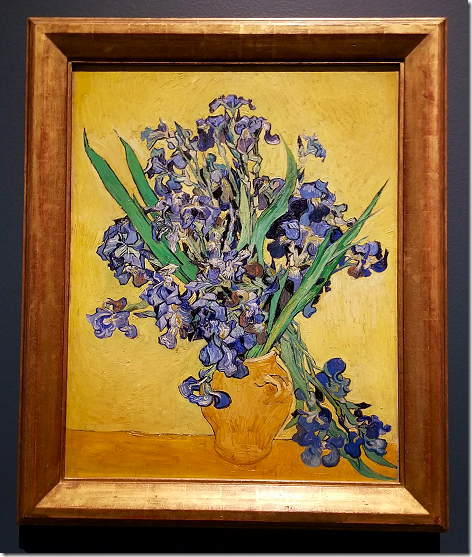 Van Gogh Irises