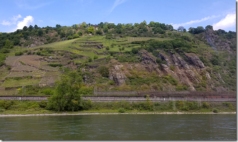 Cruising The Rhine Vineyards