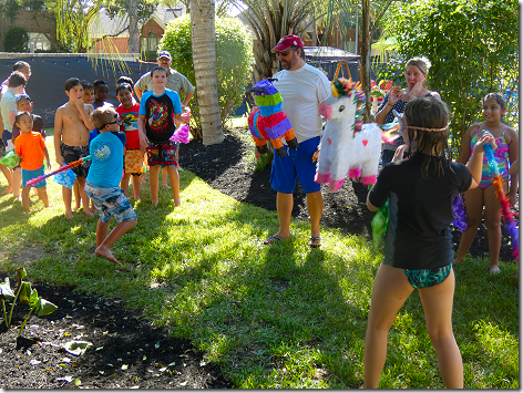 Landon's 9th Birthday Pinata 1