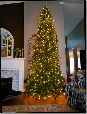 Brandi 2019 Big Christmas Tree