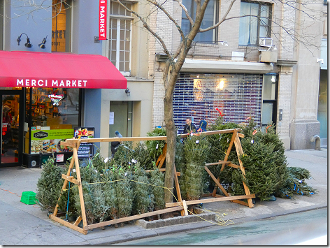 NYC Christmas Tree Lot