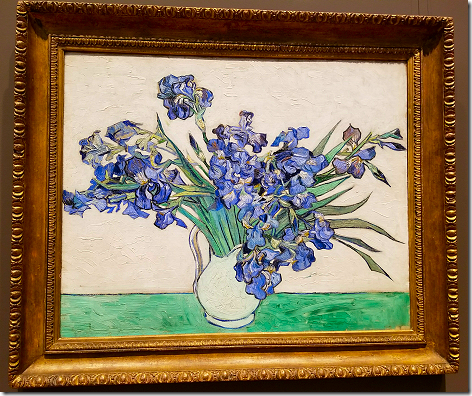 Van Gogh Irisis