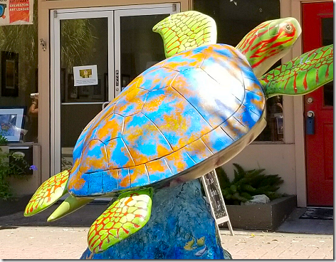 Galveston Turtle 2