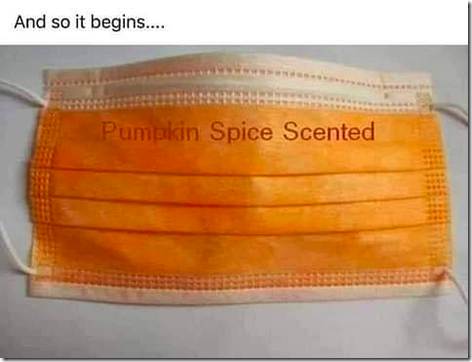 Pumpkin-spice-face-mask