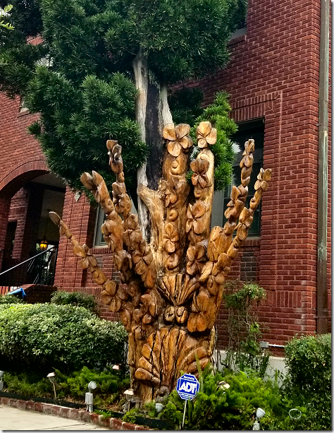 Galveston Norfolk Pine Carving