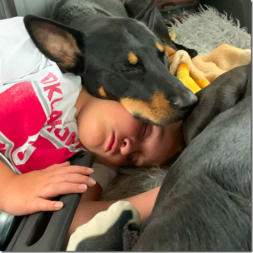 Landon Asleep with Jack and Baxter