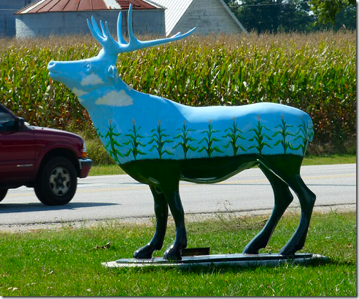 Elkhart Elk Mascot 2