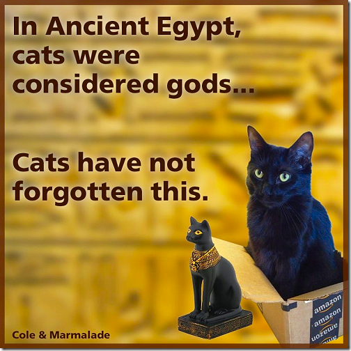 Cats Were Gods