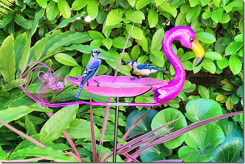 Flamingo Bird Bath