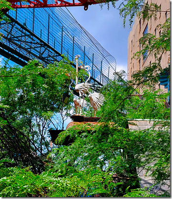 City Museum Ostriches