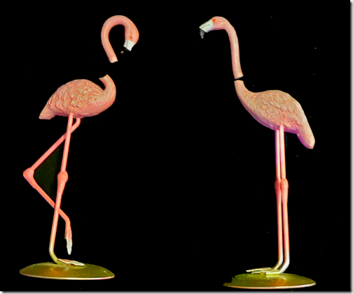Wrong Flamingos